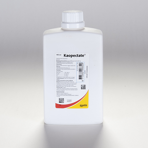 Kaopectate - 480ml