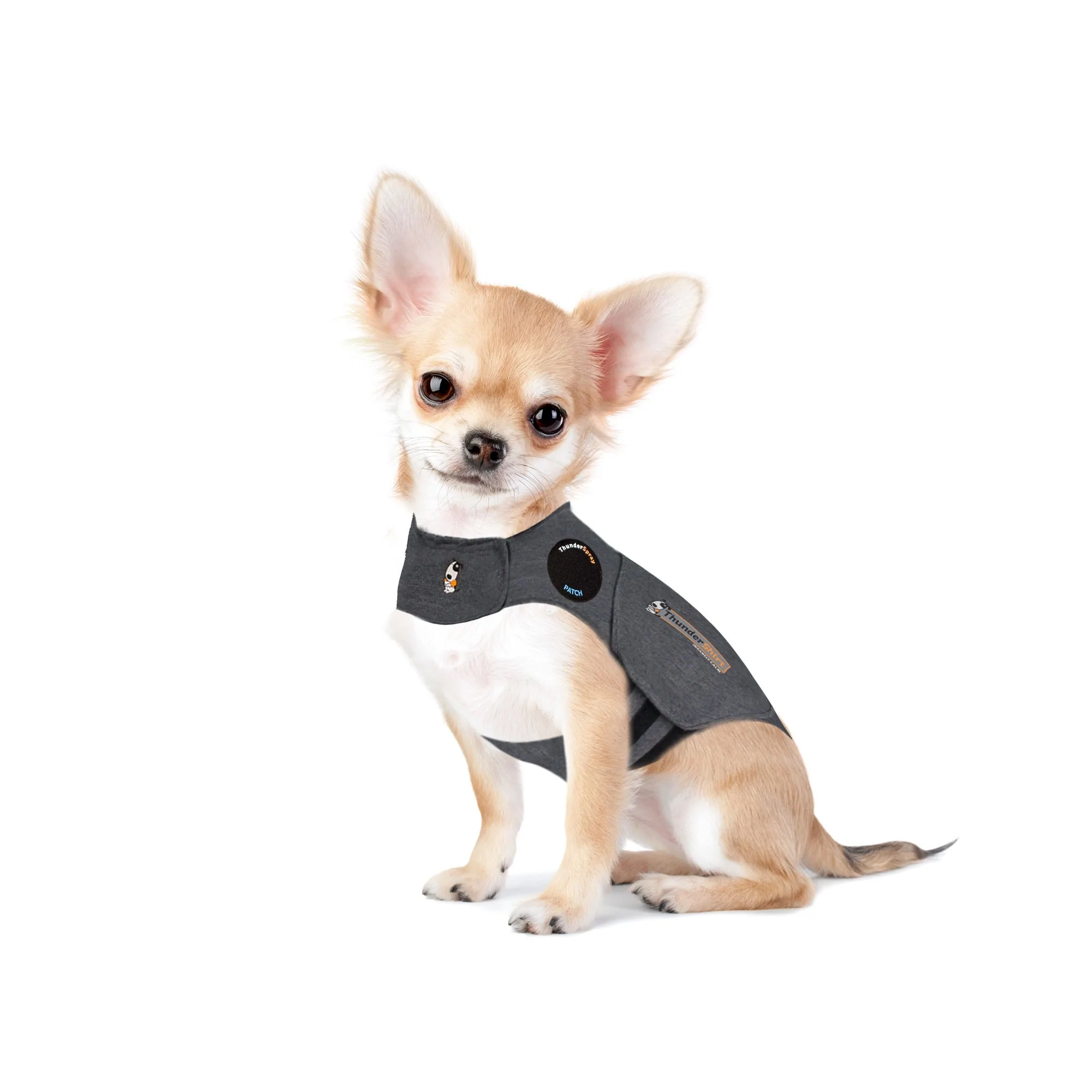 Thundershirt Hond