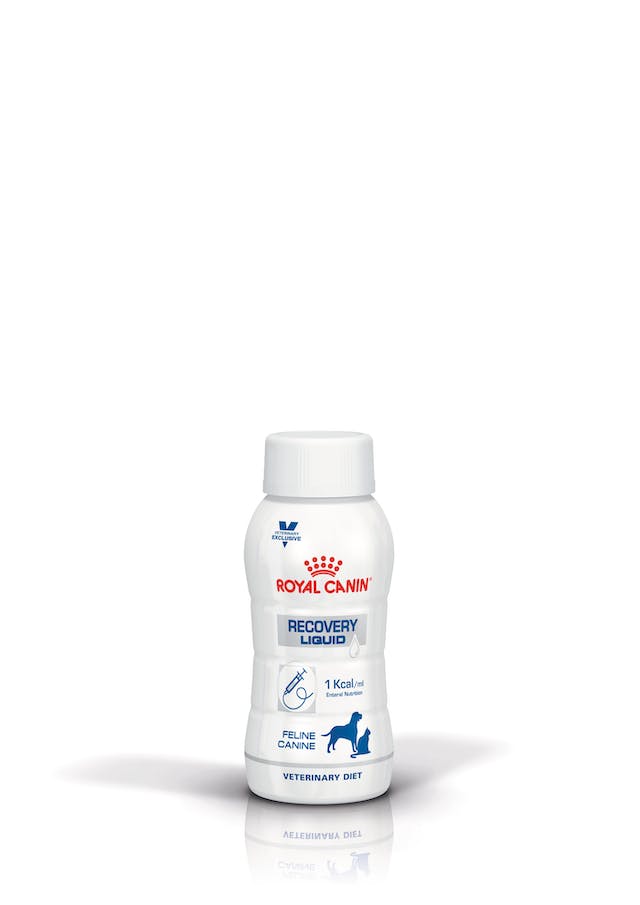 Royal Canin Recovery Liquid