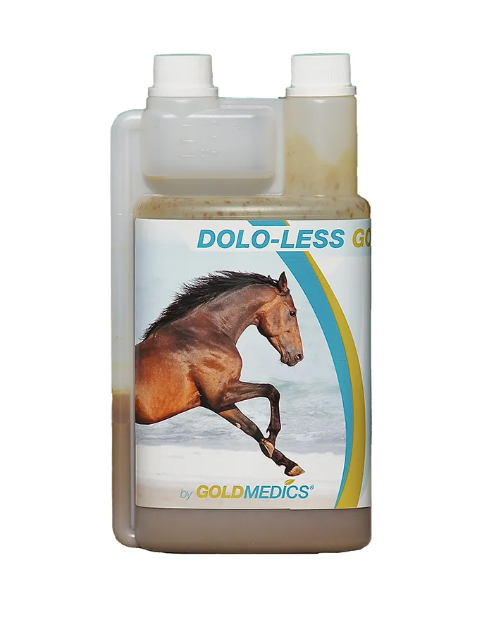 Dolo-Less Gold Paard