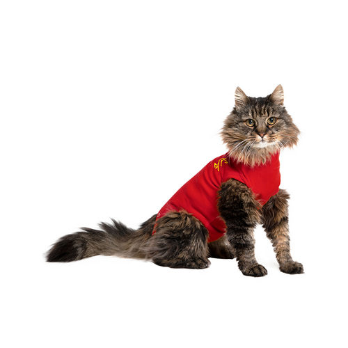 Medical Pet Shirt Kat - S