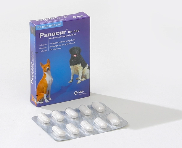 Panacur KH 500
