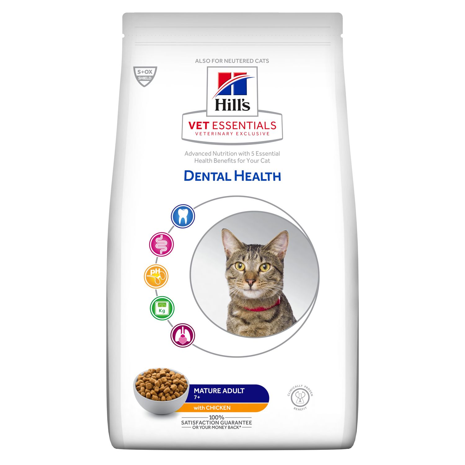 Hill's Vet Essentials Dental Health Mature Adult Kat - 1,5kg