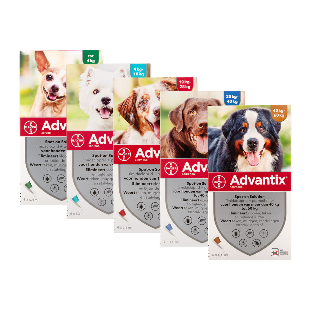 Advantix Hond - 4-10kg - 6 pipetten