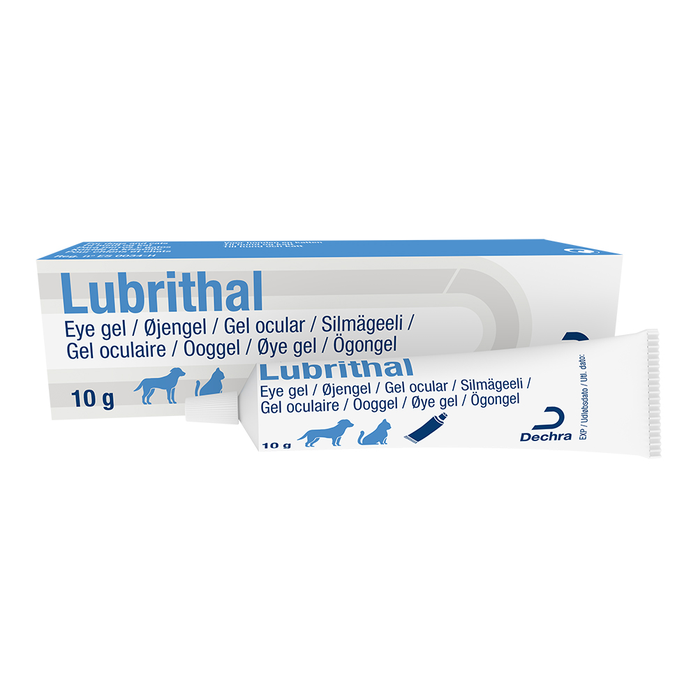 Lubrithal Ooggel 10 gram/tube