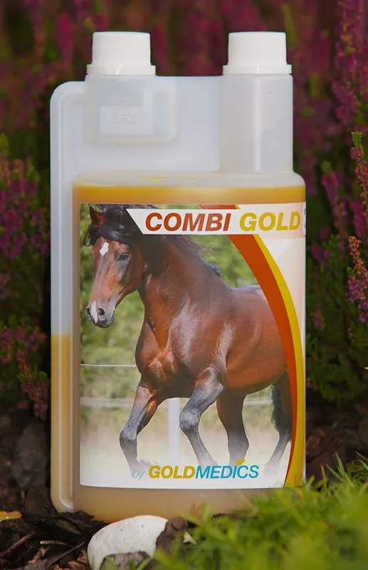 Combi Gold Paard