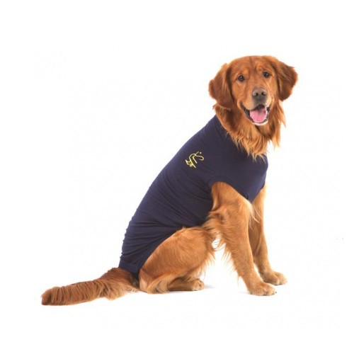 kwartaal homoseksueel katje Medical Pet Shirt hond – Dé hondenromper – PetMarkt.nl