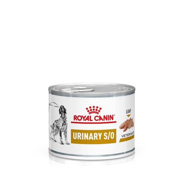 Royal Canin Urinary S/O Hond - blik 12x200g