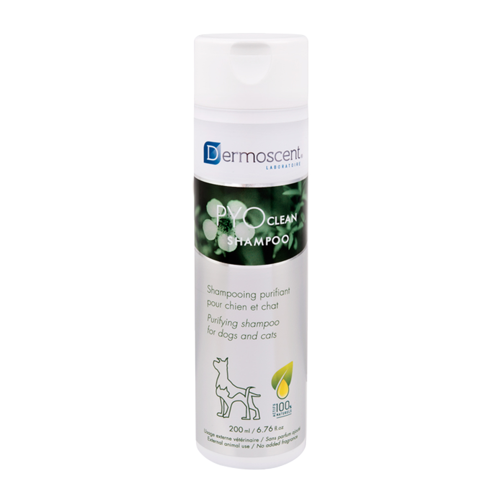 Dermoscent PYO Clean Shampoo 200 ml