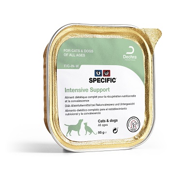 Specific Intensive Support Hond/Kat | F/C-IN-W