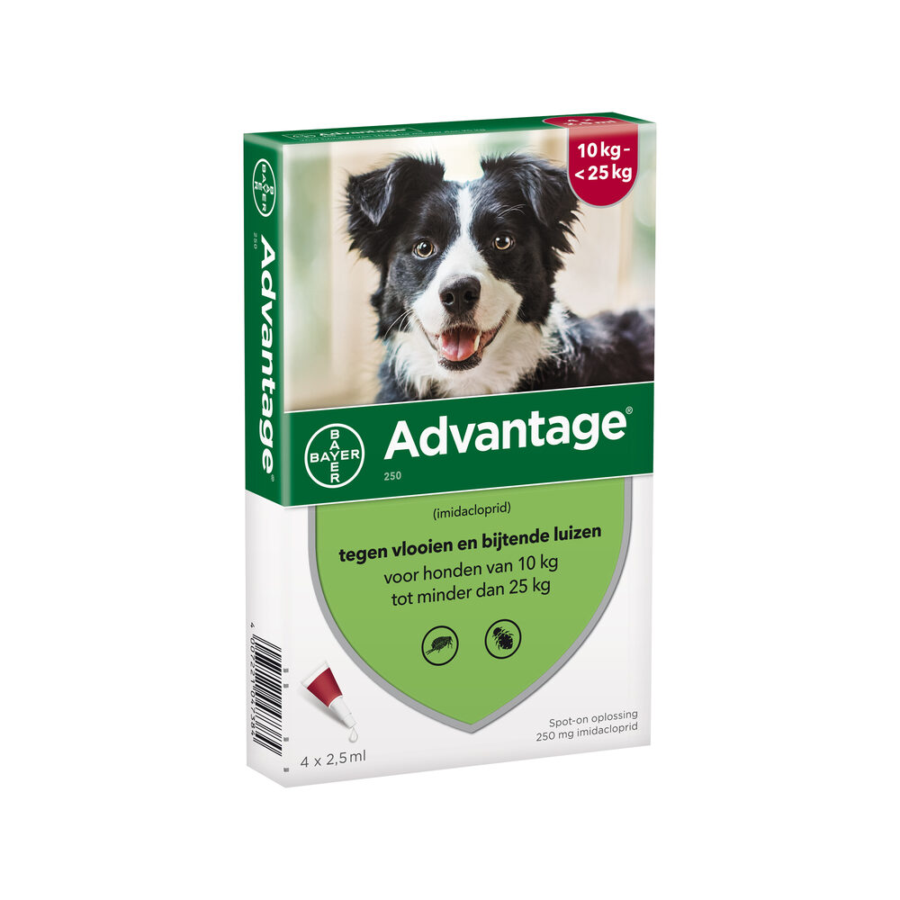 Advantage Hond 250 - 10 tot 25 kg - 4 pipetten