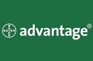 Advantage