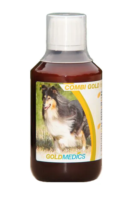 Combi Gold Hond